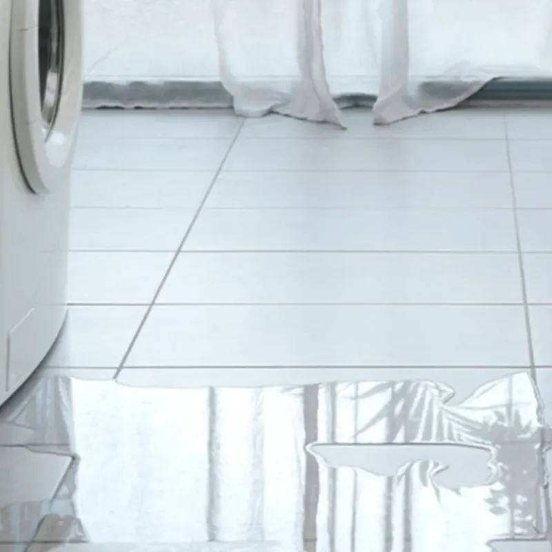 Appliance Leak Cleanup in Arlington, GA