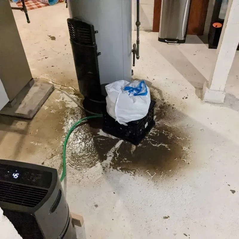 Sewage Backup Cleanup Service in Arlington, GA